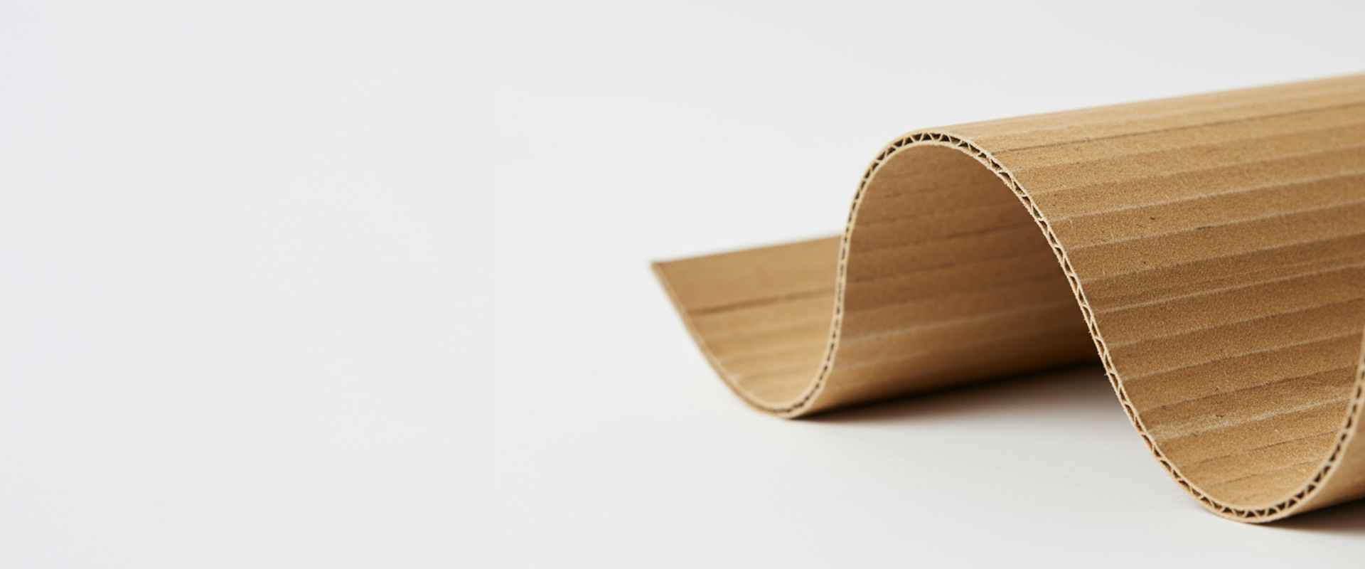 Model Ofset Baskı ve Tasarım Hizmetleri